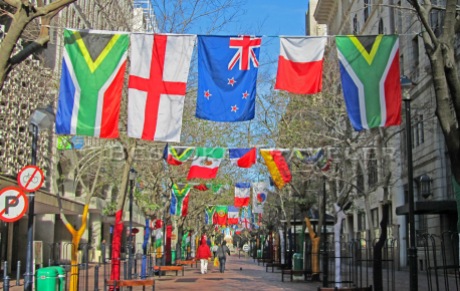 Cape Town Flags